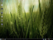 KDE biglinux com wall do ubuntu 10.10