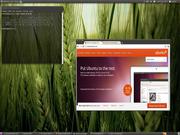 Gnome Ubuntu 10.10 RC