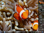 KDE Metamorphose 2.5