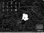 KDE Black and White