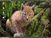 Gnome Ubuntu 10.04 Lucid Lynx