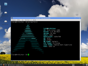 Xfce Arch Linux + Xfce