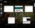 Gnome Fedora 15 + driver nouveau