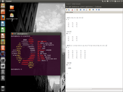 Gnome Ubuntu 11.04
