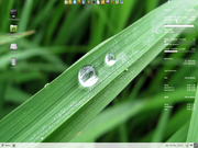 Gnome Mint 12