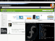 Gnome Fedora 19 + Firefox