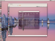  Ubuntu 14.04