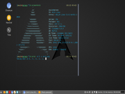 Cinnamon Retornei ao Arch após 5 anos sem Linux