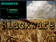 Tiling window manager Slackware rodando Mednafen
