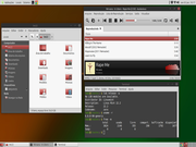  Linux Mint 22