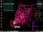 LXDE Debian Squeeze e os terminais