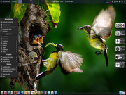 Openbox cb-birds