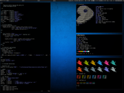 Tiling window manager Gentoo awesome