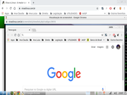 LXDE Google Chrome de Cara Nova