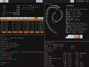 Tiling window manager ZFS no Debian