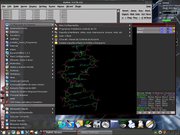  Kurumin pode ter p...