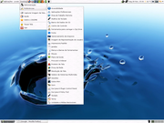  Insigne Momentum 5.0