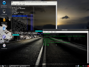 LXDE Crise de Ambiente Grfico