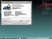 TWM Damn Small Linux com 32 MB d...