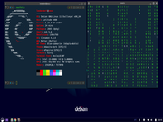  Debian 11