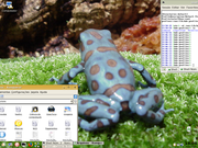 KDE Suse 10.0 e fundo do Azureus