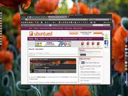  Tema 46 � Gray Att...