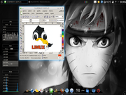 KDE Kubuntu + Cairo-Dock