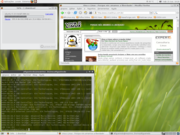  Ubuntu - Green-n-B...