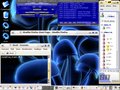 KDE Slacko com KDE