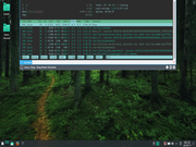KDE Manjaro 17.0.2 Gellivara