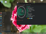KDE openSUSE 15.3