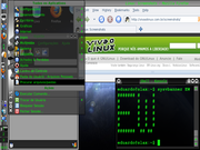 KDE Verde sobre Preto - de novo, agora no Slax