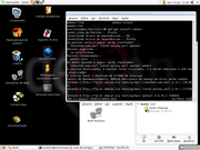  Debian CCD