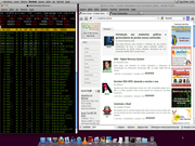 Gnome Ubuntu 10.04 + MacBuntu