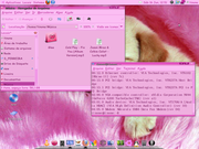 Gnome Ubuntu 9.10 Pink