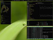 Tiling window manager Arch Linux + i3wm + Conky