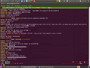 Gnome BitchX + Dusk 9.0 Script