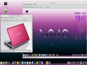  Sony Vaio+Mint 13+...