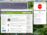 Gnome Chromium Nativo