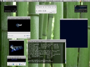 Xfce Alguns players