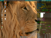 Xfce Conky no Debian 12 Xfce4