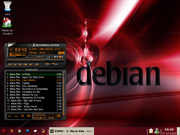  Debian Warm