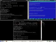  Arp poisoning + DN...