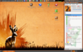 Gnome Ubuntu 9.04 Jaunty Jackalope with Gnome 2.26.1