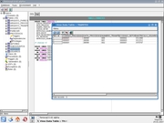 KDE Fenix SQL, Administrador de ...