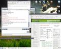 KDE openSUSE 11.0 (primeiro)
