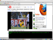 KDE FreeBSD 8.1 com Flash