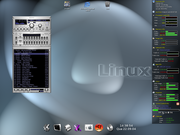 KDE Debian 3.0+ xmms skin sony + KDE 3.2 + Karamba..