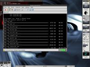 Blackbox slackware - vmware (openbsd)