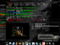 Blackbox Slackware 10.0 - Blackbox = BitchX + BitTorrent + MPlayer + Aterm + Gkrellm